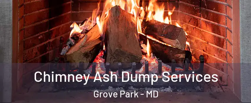 Chimney Ash Dump Services Grove Park - MD