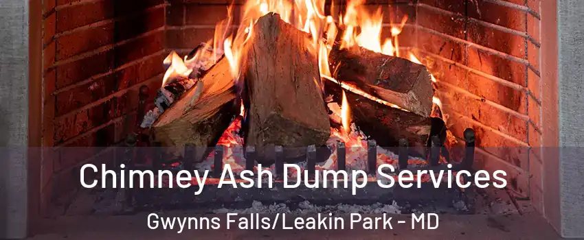 Chimney Ash Dump Services Gwynns Falls/Leakin Park - MD