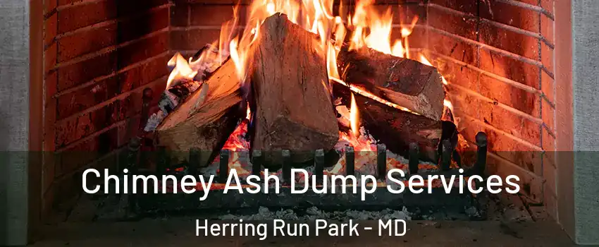 Chimney Ash Dump Services Herring Run Park - MD