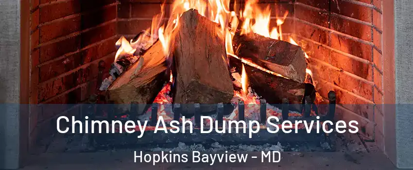 Chimney Ash Dump Services Hopkins Bayview - MD
