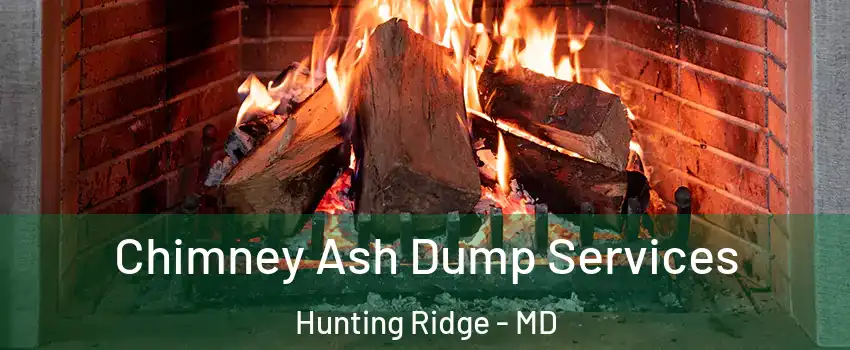 Chimney Ash Dump Services Hunting Ridge - MD
