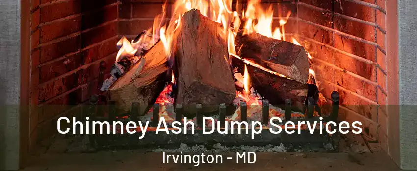 Chimney Ash Dump Services Irvington - MD