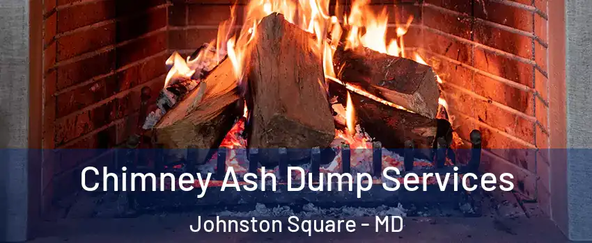 Chimney Ash Dump Services Johnston Square - MD