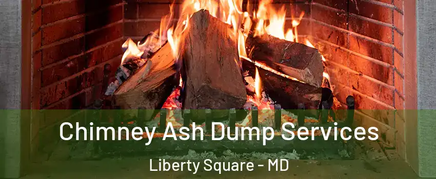 Chimney Ash Dump Services Liberty Square - MD