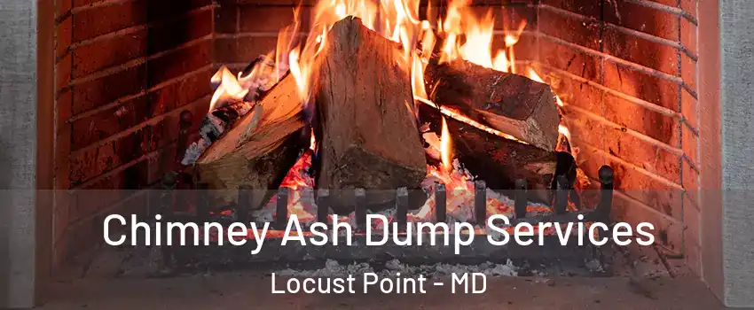 Chimney Ash Dump Services Locust Point - MD