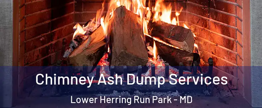 Chimney Ash Dump Services Lower Herring Run Park - MD