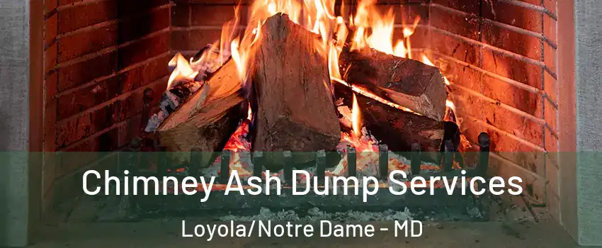 Chimney Ash Dump Services Loyola/Notre Dame - MD