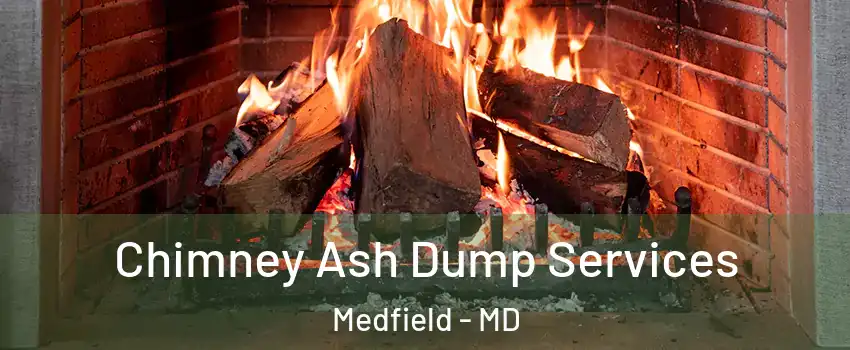 Chimney Ash Dump Services Medfield - MD