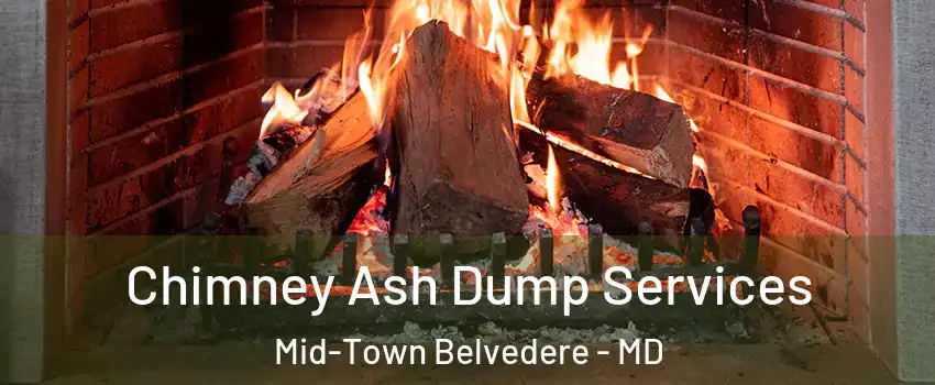 Chimney Ash Dump Services Mid-Town Belvedere - MD