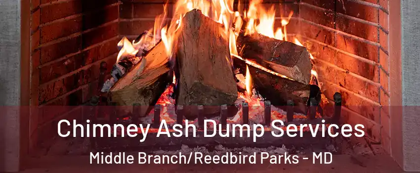 Chimney Ash Dump Services Middle Branch/Reedbird Parks - MD
