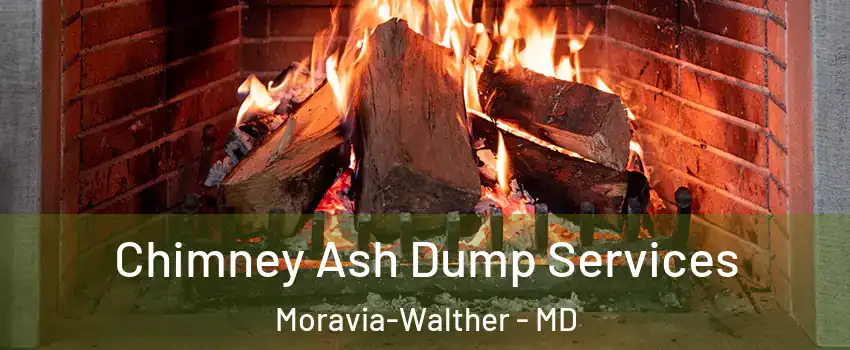 Chimney Ash Dump Services Moravia-Walther - MD
