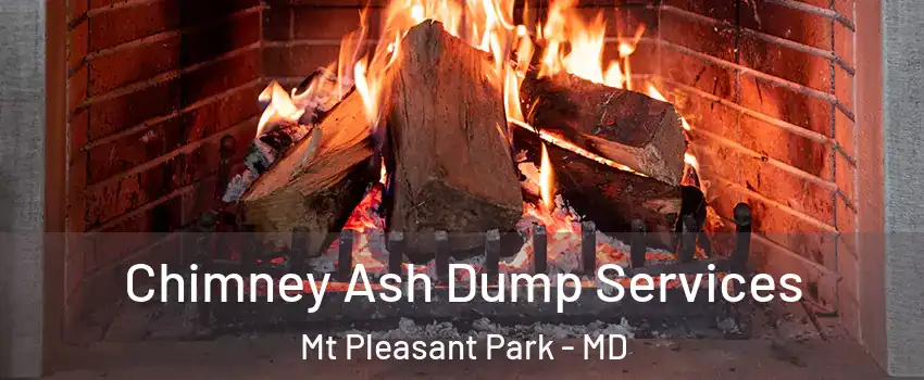 Chimney Ash Dump Services Mt Pleasant Park - MD
