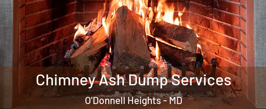Chimney Ash Dump Services O'Donnell Heights - MD