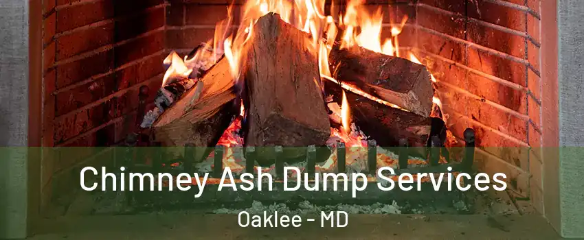 Chimney Ash Dump Services Oaklee - MD