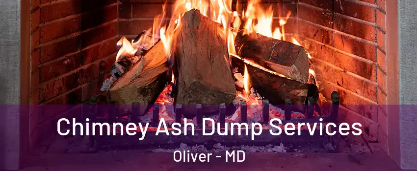 Chimney Ash Dump Services Oliver - MD
