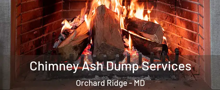 Chimney Ash Dump Services Orchard Ridge - MD
