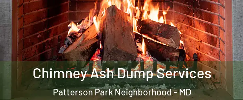 Chimney Ash Dump Services Patterson Park Neighborhood - MD
