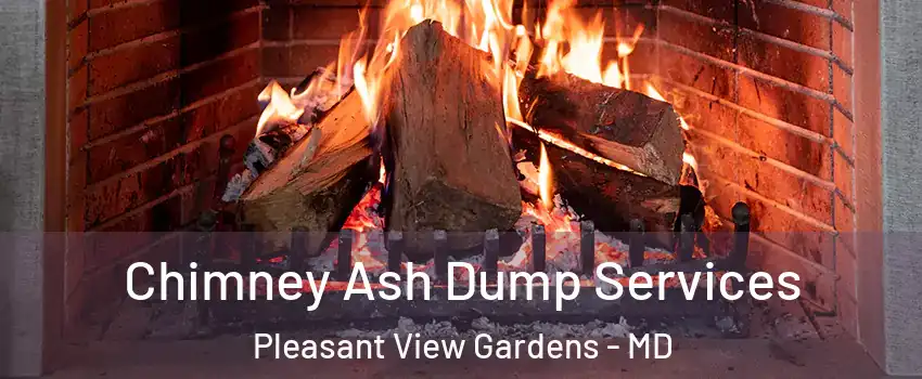 Chimney Ash Dump Services Pleasant View Gardens - MD