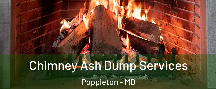 Chimney Ash Dump Services Poppleton - MD
