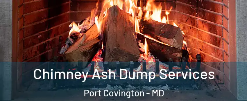 Chimney Ash Dump Services Port Covington - MD