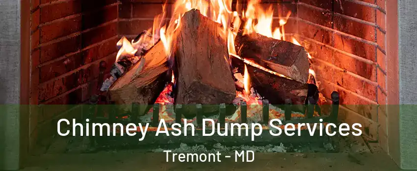 Chimney Ash Dump Services Tremont - MD