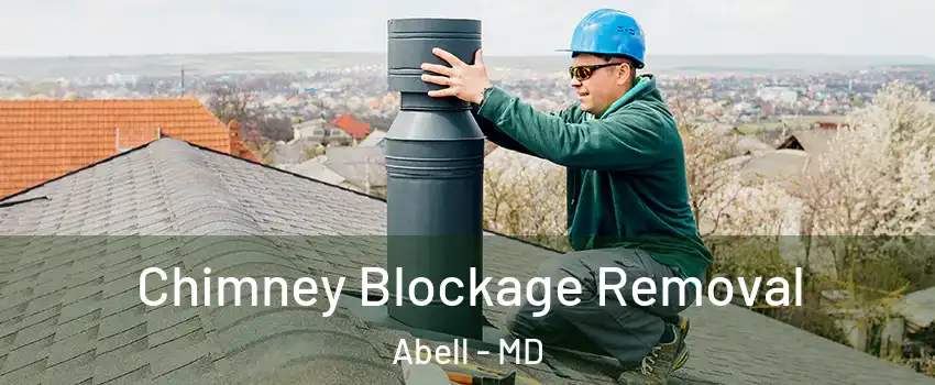 Chimney Blockage Removal Abell - MD