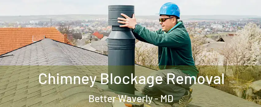 Chimney Blockage Removal Better Waverly - MD