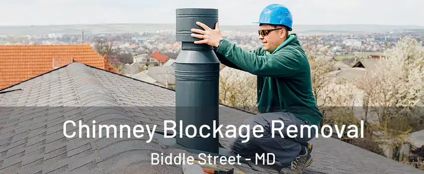 Chimney Blockage Removal Biddle Street - MD