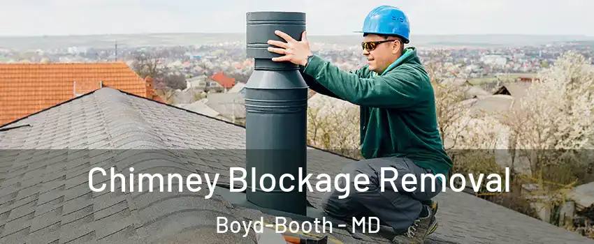 Chimney Blockage Removal Boyd-Booth - MD