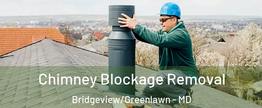 Chimney Blockage Removal Bridgeview/Greenlawn - MD