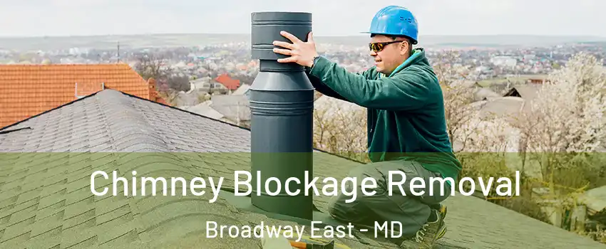 Chimney Blockage Removal Broadway East - MD