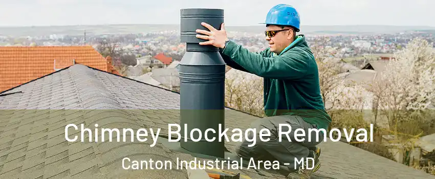 Chimney Blockage Removal Canton Industrial Area - MD