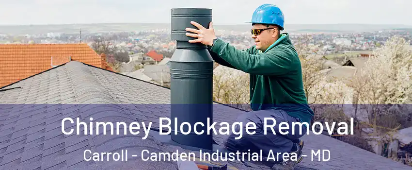 Chimney Blockage Removal Carroll - Camden Industrial Area - MD