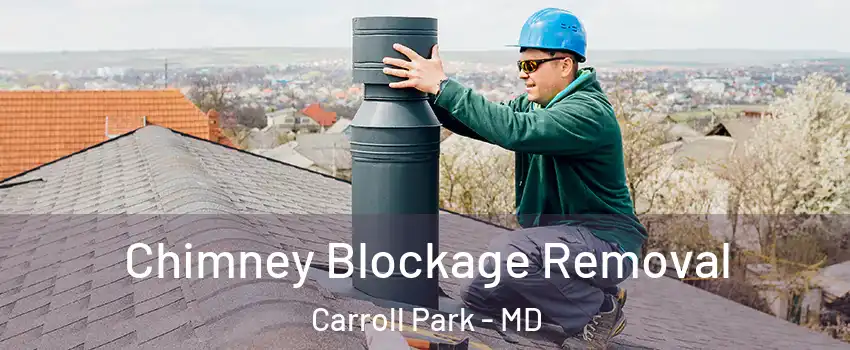 Chimney Blockage Removal Carroll Park - MD