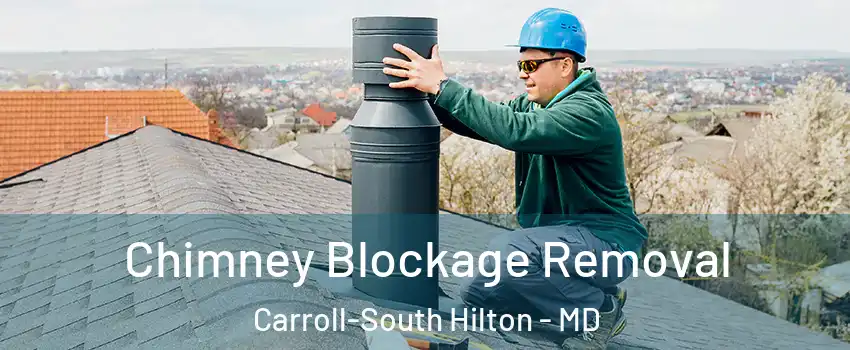 Chimney Blockage Removal Carroll-South Hilton - MD