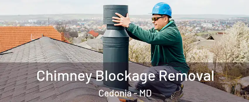 Chimney Blockage Removal Cedonia - MD