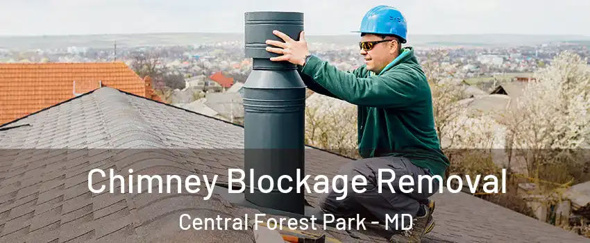 Chimney Blockage Removal Central Forest Park - MD