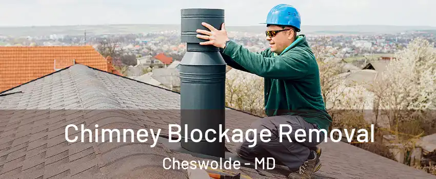 Chimney Blockage Removal Cheswolde - MD