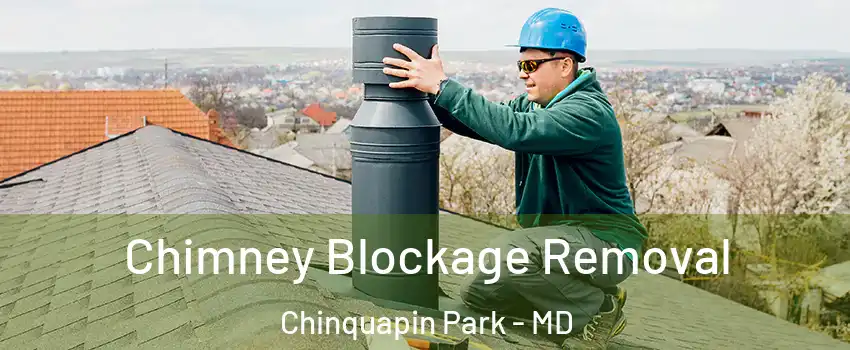 Chimney Blockage Removal Chinquapin Park - MD