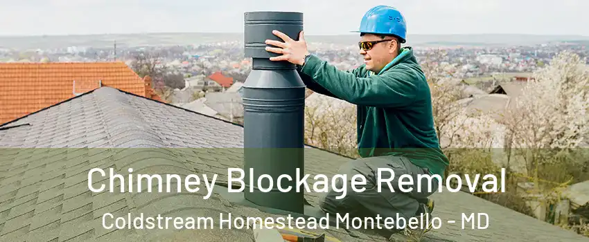 Chimney Blockage Removal Coldstream Homestead Montebello - MD