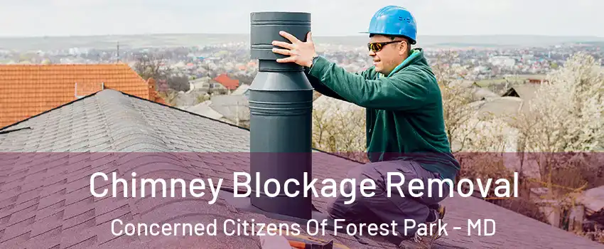 Chimney Blockage Removal Concerned Citizens Of Forest Park - MD
