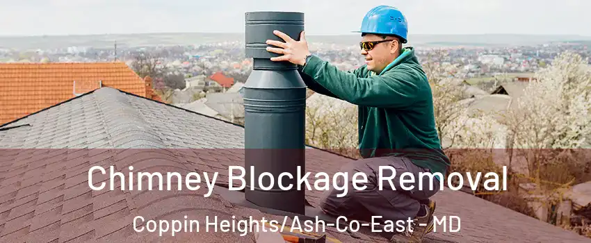 Chimney Blockage Removal Coppin Heights/Ash-Co-East - MD