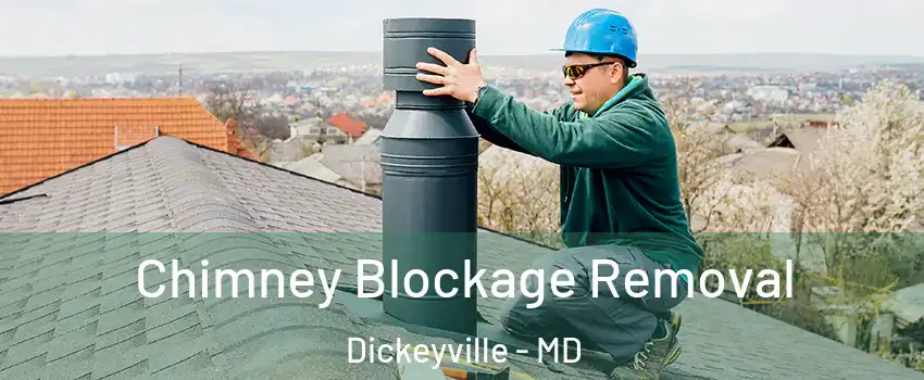 Chimney Blockage Removal Dickeyville - MD
