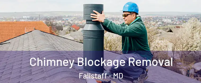 Chimney Blockage Removal Fallstaff - MD
