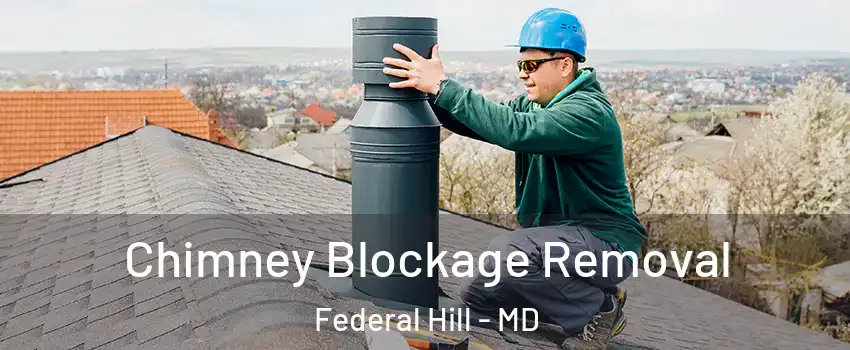 Chimney Blockage Removal Federal Hill - MD