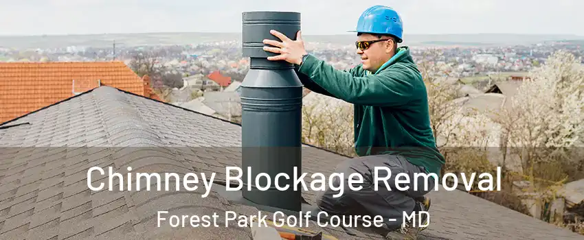 Chimney Blockage Removal Forest Park Golf Course - MD