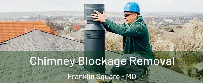 Chimney Blockage Removal Franklin Square - MD