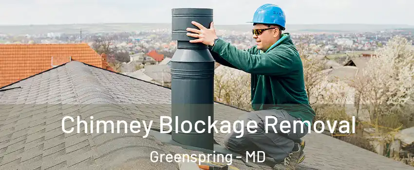 Chimney Blockage Removal Greenspring - MD