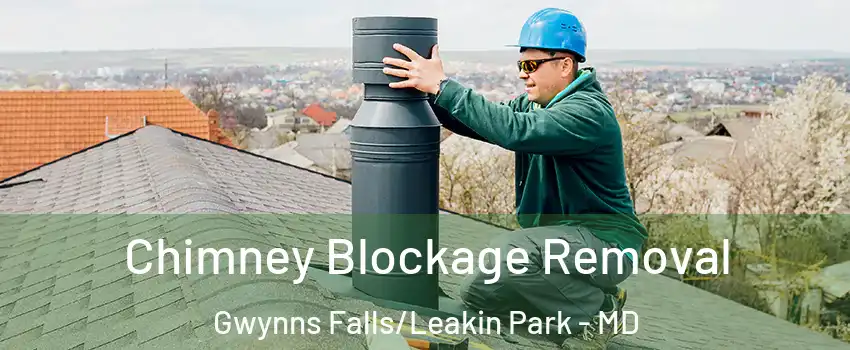 Chimney Blockage Removal Gwynns Falls/Leakin Park - MD