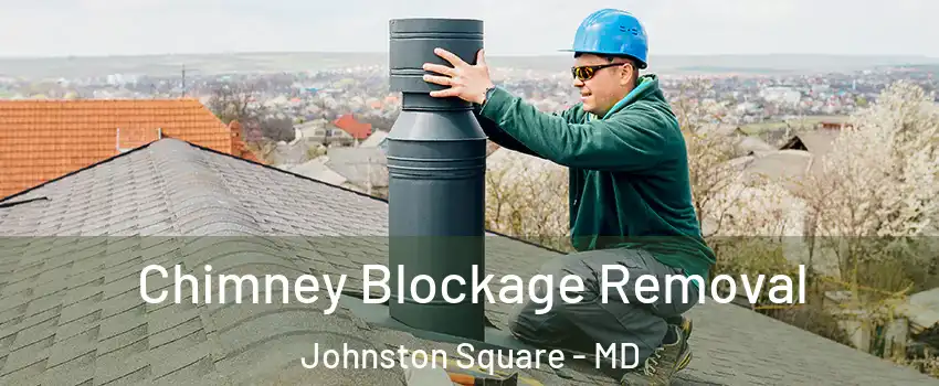 Chimney Blockage Removal Johnston Square - MD